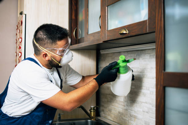 Best Wasp Removal Services  in Souderton, PA