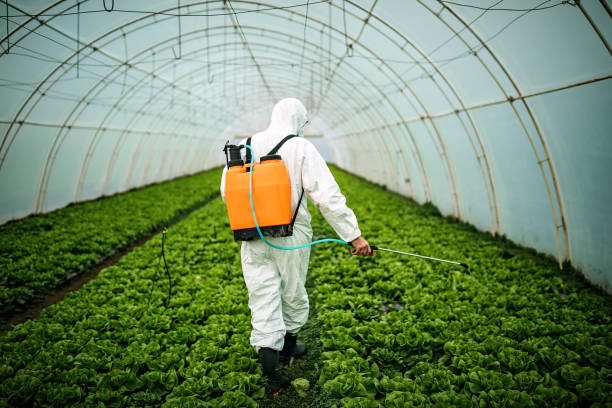 Pest Control for Restaurants in Souderton, PA