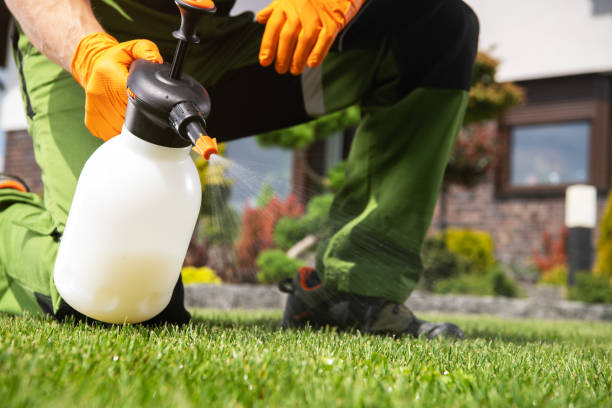 Reliable Souderton, PA Pest Control Solutions