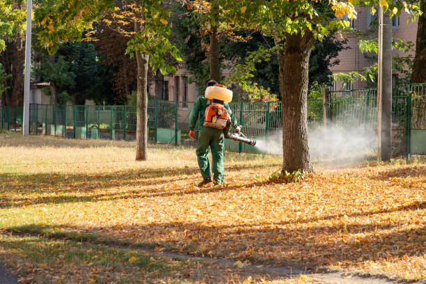 Bird Control in Souderton, PA